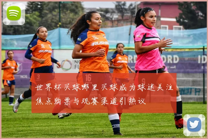 世界杯买球哪里买球成为球迷关注焦点购票与观赛渠道引热议