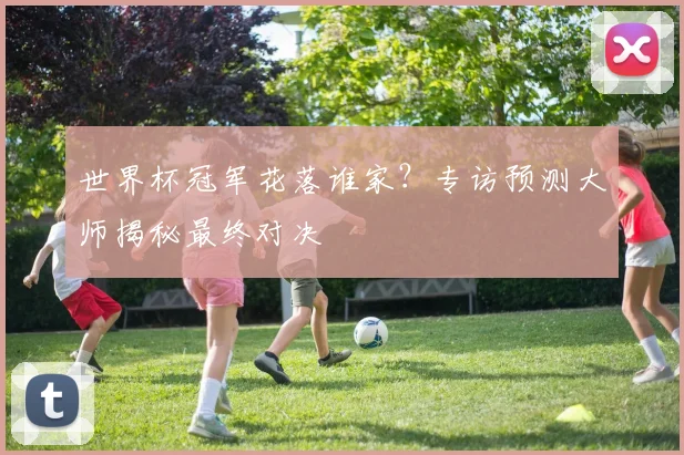 世界杯冠军花落谁家?专访预测大师揭秘最终对决