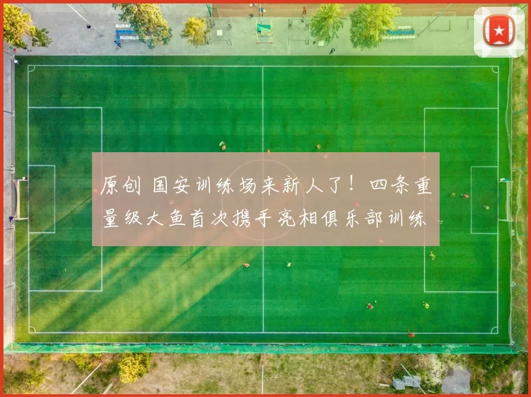 原创 国安训练场来新人了！四条重量级大鱼首次携手亮相俱乐部训练基地，值得期待